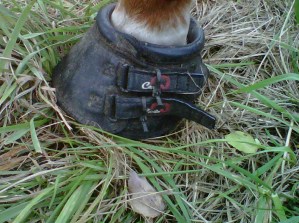 Cavallo simple boot with cable tie closures